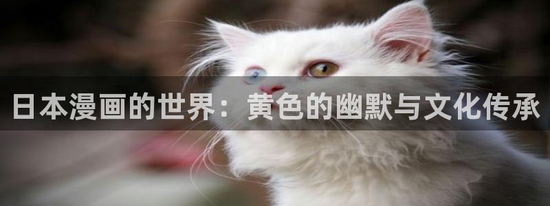 韩国漫画免费看大全