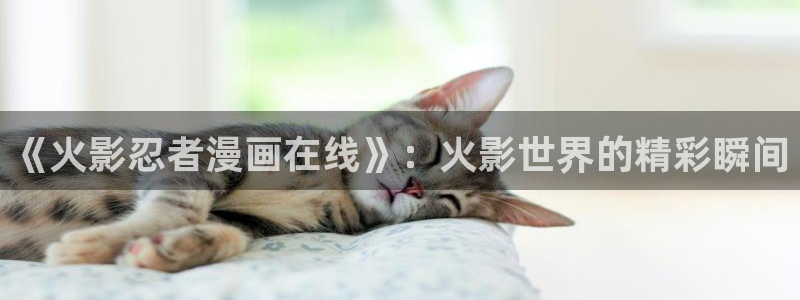 好看韩国漫画免费漫画