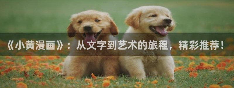 免费观看韩国漫画的网站